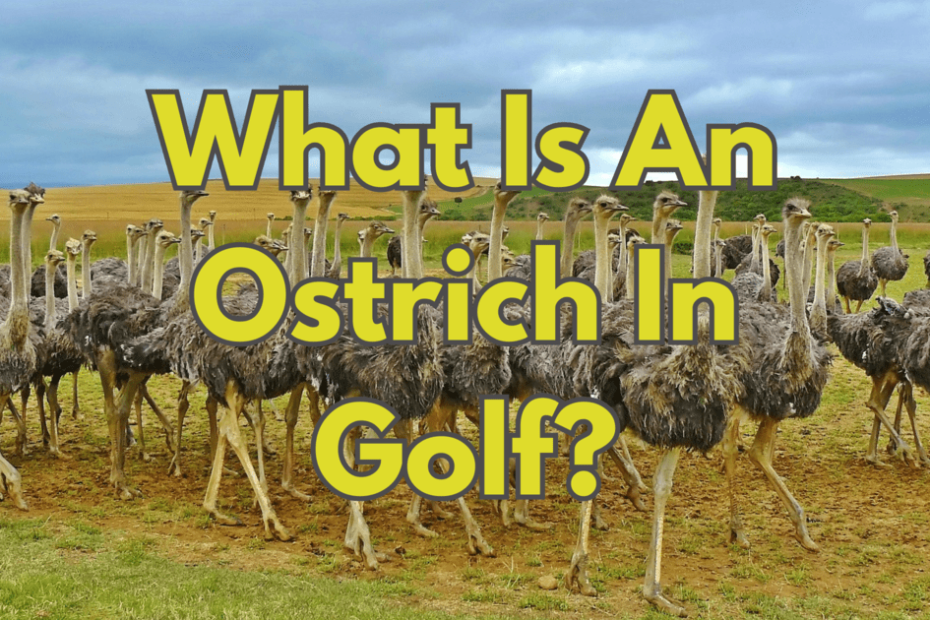 What Is An Ostrich In Golf