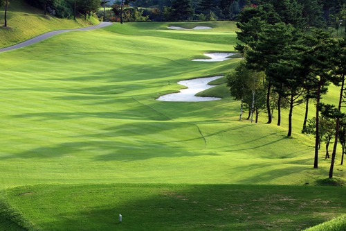 Understanding Golf Course Yardage and Par 2