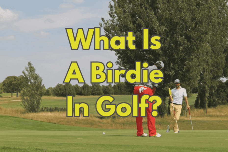 What Is A Birdie In Golf