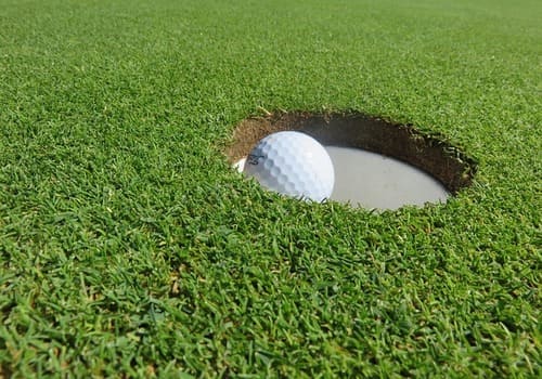 what grass is used on golf greens 1