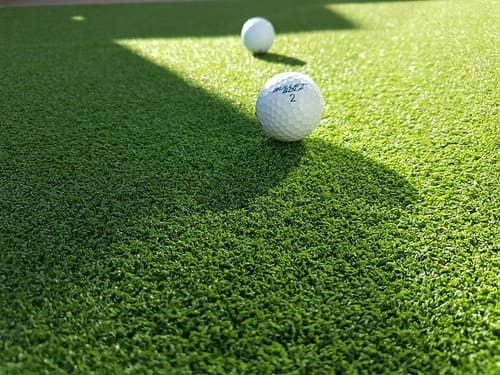 what grass is used on golf greens 2